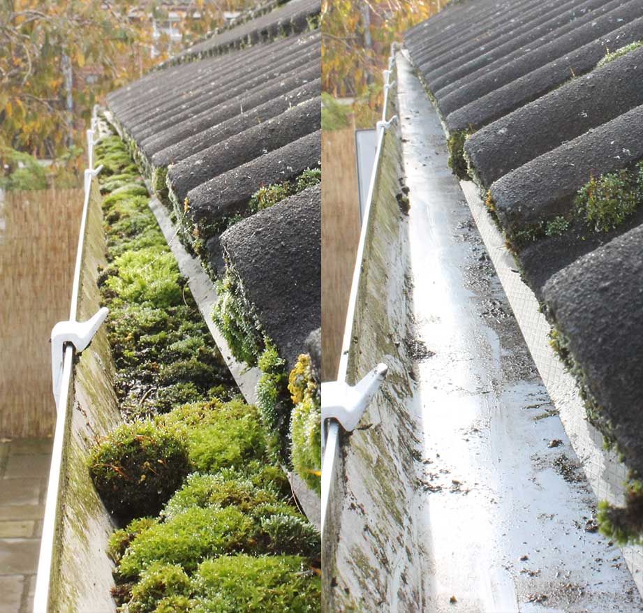 Expert Gutter Cleaning in Ponteland by Blue Hippo Exterior Cleaning
